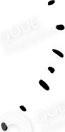 rev-img-07 t